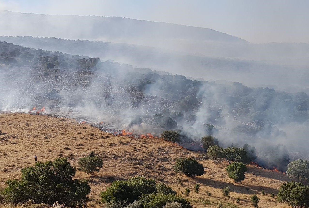 رئیس اداره منابع طبیعی شهرستان سنندج گفت: در آتش سوزی روز گذشته در دامنه های کوه آبیدر ۳.۷ هکتار از مراتع این پارک جنگلی طعمه حریق شد.