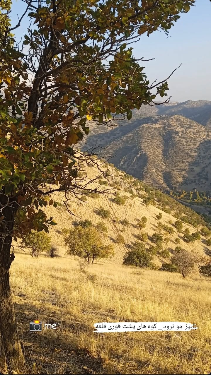 طبیعت کوه های جوانرود