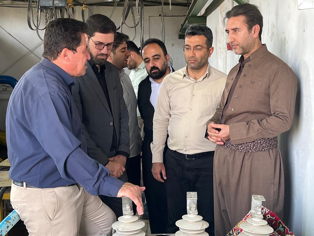 بازدید فرماندار جوانرود از منابع آبی شهرستان به روایت تصویر