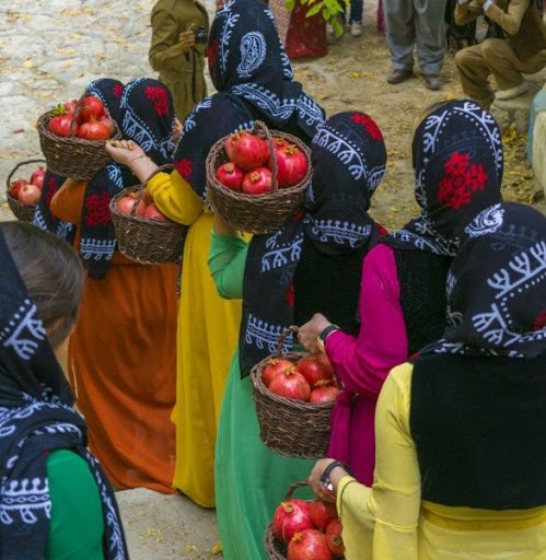 کرمانشاه سرچشمه جشن انار در دنیاست/ نگذاریم این جشن به نام کشوری دیگر ثبت جهانی شود