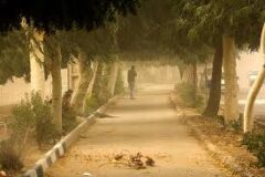 خیزش گرد و خاک در برخی استان‌ها/ رگبار و رعدوبرق در شمال و جنوب کشور