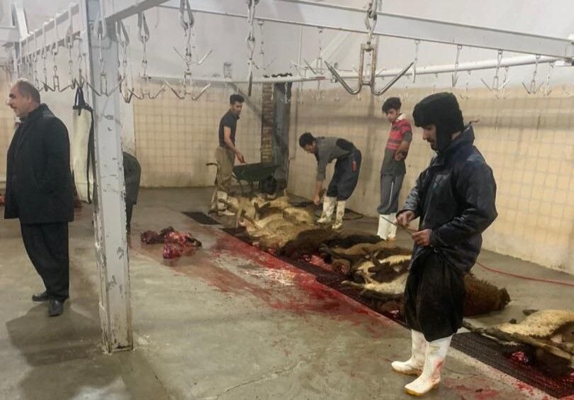 کشتارگاه دام پاوه؛ از مشکلات بهداشتی و محیط‌زیستی تا قول شهردار برای رفع نواقص