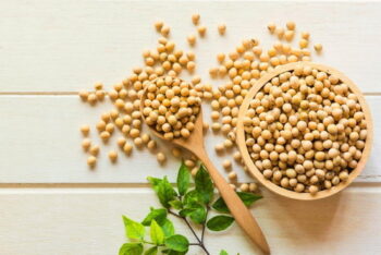 احتیاط هایی درباره مصرف سویا احتیاط هایی درباره مصرف سویا
