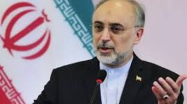 صالحی: هر گونه چشم طمع به آب و خاک ایران، محکوم به شکست است