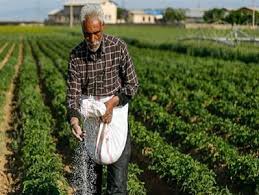 پیش‌بینی ۱۰ هزار میلیارد تومان اعتبار برای توسعه کشاورزی کرمانشاه در سفر رییس‌جمهور