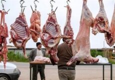 خشکبار شامل کشمش، خرما خشک، انجیر خشک و برگه زردآلو است که همگی نقش مهمی در تغذیه شب امتحان دارند خشکبار شامل کشمش، خرما خشک، انجیر خشک و برگه زردآلو است که همگی نقش مهمی در تغذیه شب امتحان دارند